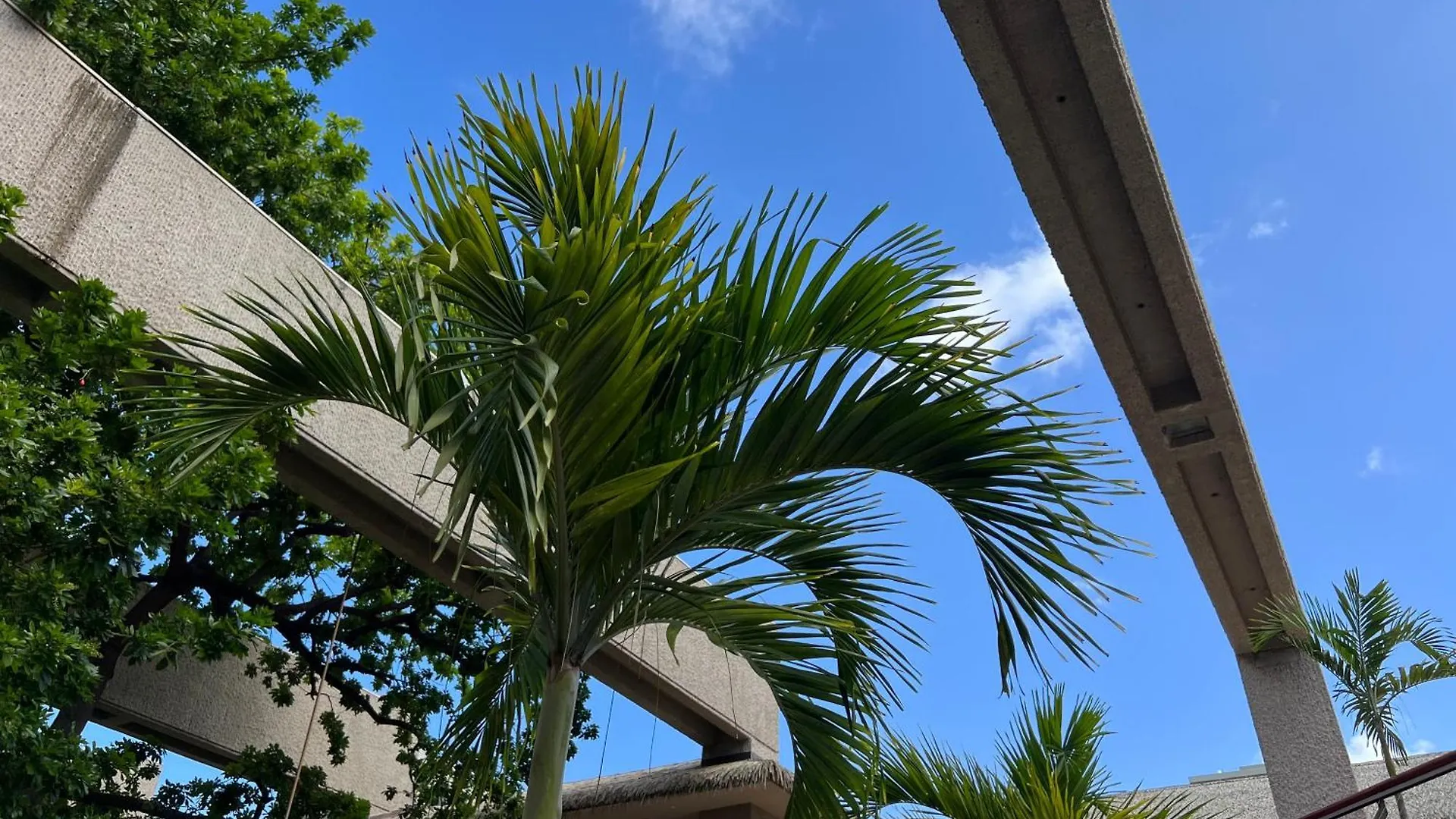 Ξενοδοχείο με κάψουλες First Cabin International Hawaii Χονολουλού