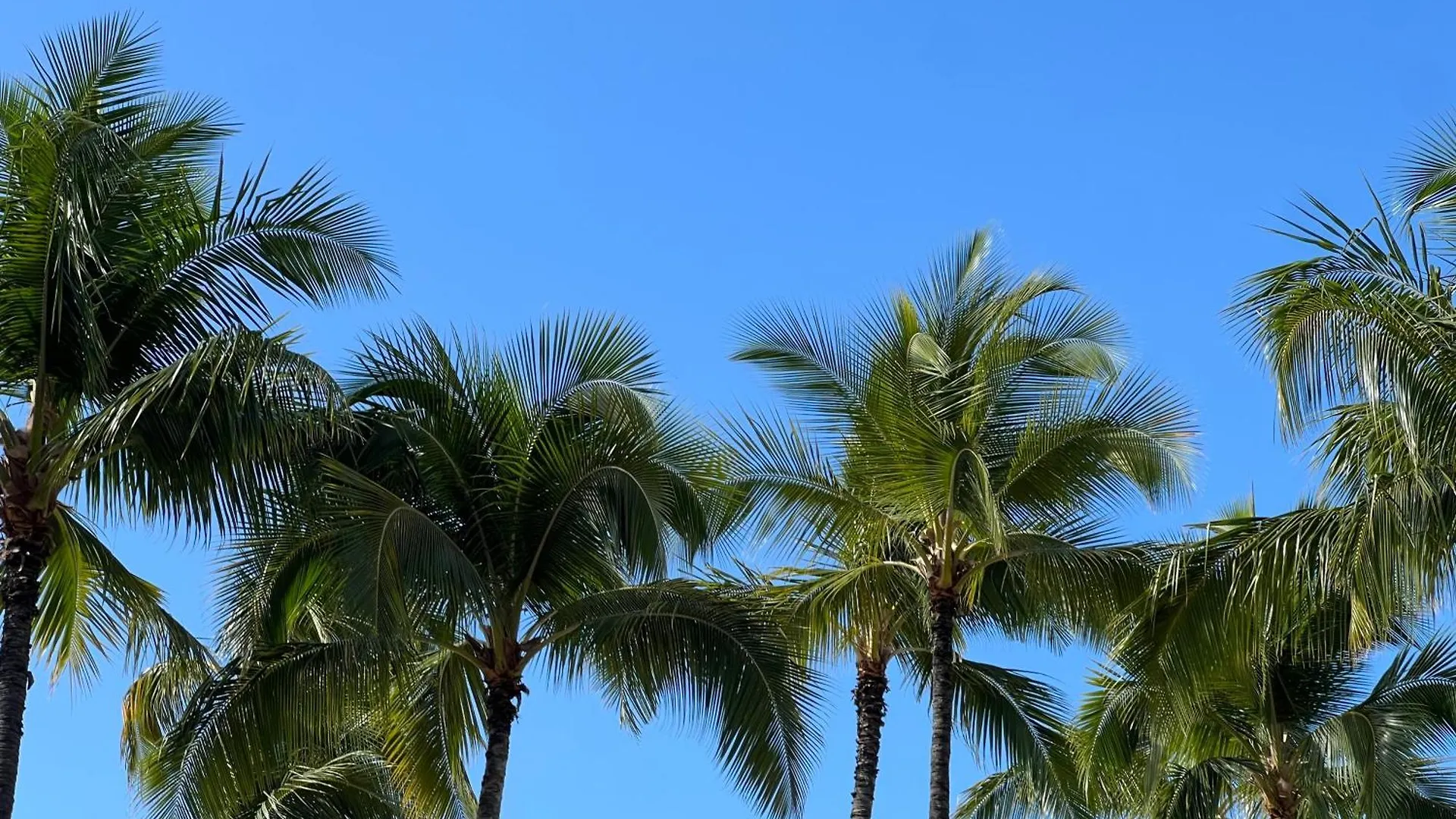 First Cabin International Hawaii Χονολουλού
