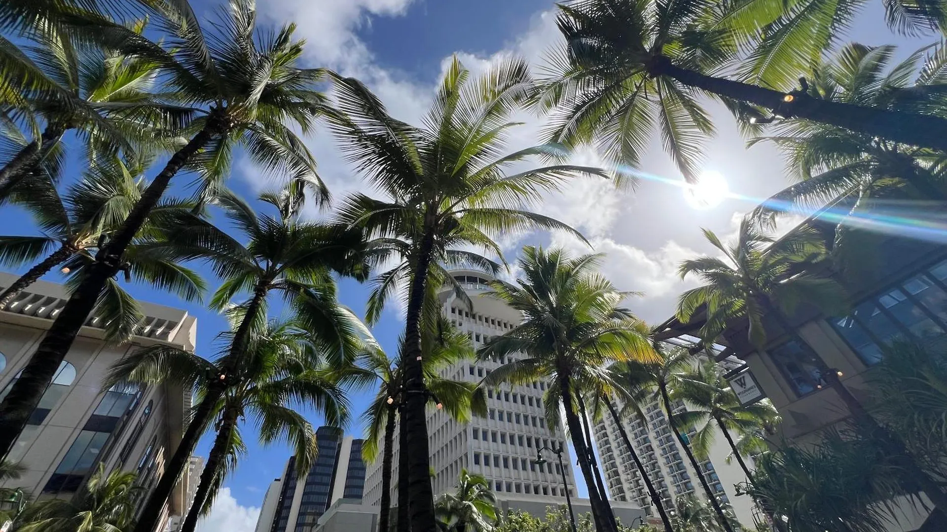 First Cabin International Hawaii Χονολουλού Ξενοδοχείο με κάψουλες