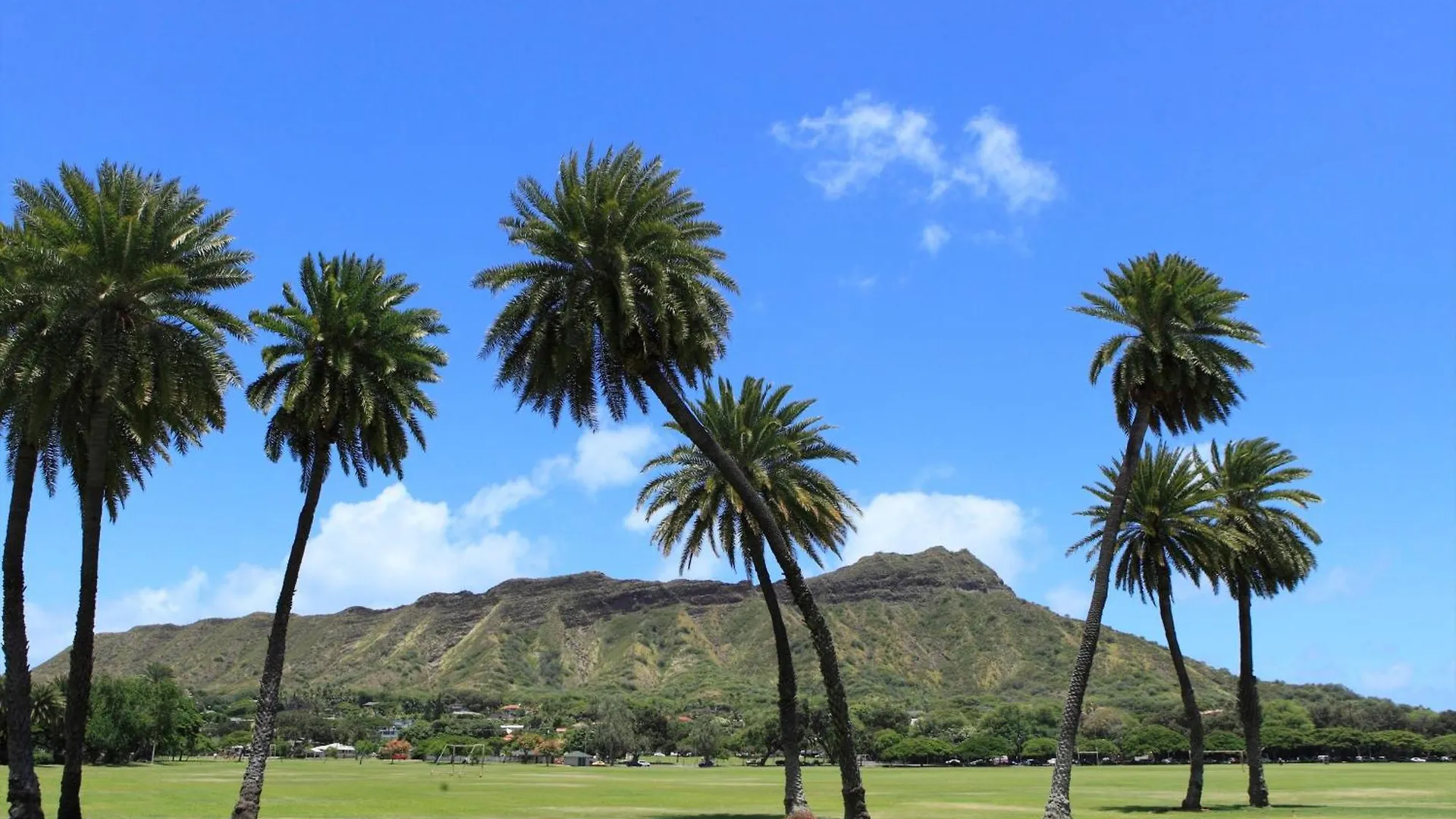 First Cabin International Hawaii Χονολουλού Ηνωμένες Πολιτείες της Αμερικής